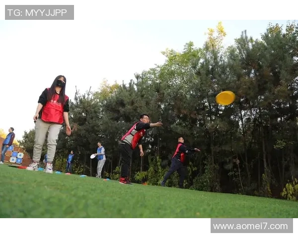 飞盘运动的魅力与挑战成都飞盘队如何在速度中追逐梦想